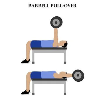 Barbell pull-over exercise strength workout vector illustration Stockillustratie