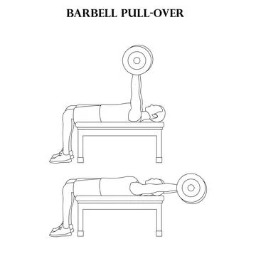 Barbell pull-over exercise strength workout vector illustration outline Stockillustratie