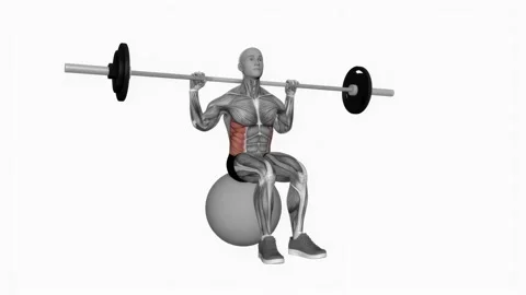 Barbell seated twist on exercise ball fitness exercise workout animation video m Video stock 229458299