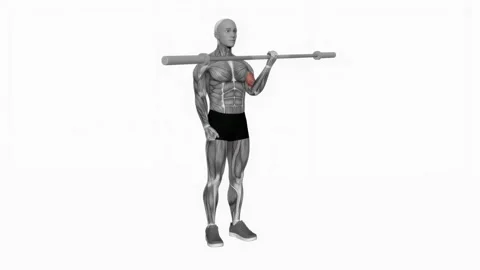 Barbell single arm biceps curl fitness exercise workout animation male muscle hi 库存影片 243984892