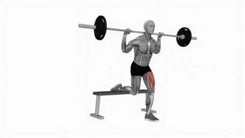 Barbell single leg split squat fitness exercise workout animation male muscle hi 動画素材 243988833