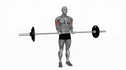 Barbell standing close grip curl fitness exercise workout animation male muscle  Vidéo 243984896