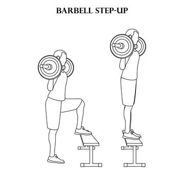 Barbell step-up exercise strength workout illustration outline Stock Illustration