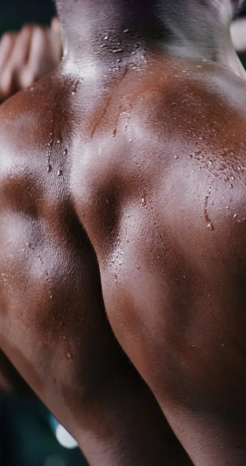 Barbell, sweat and back of man in gym for fitness, exercise and bodybuilding Stock Footage 327208888