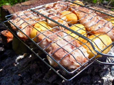 Barbeque on the bonfire Stock Photos