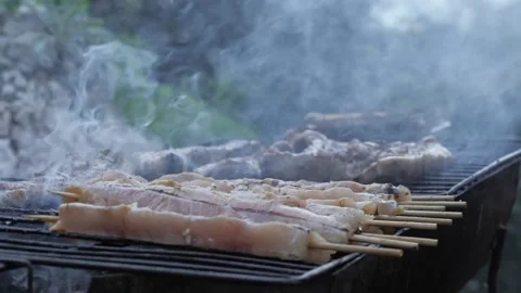 Barbeque close up Stock Footage 153981950