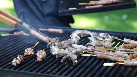 Barbeque cooking Stock Footage 101752787