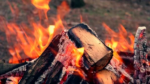Barbeque fire in the forest 库存影片 233161980