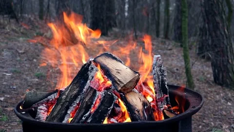Barbeque fire in the forest 스톡 동영상 233161983