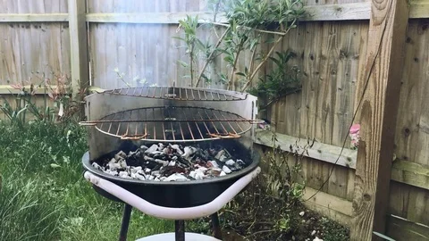 Barbeque Stock-Footage 88873012