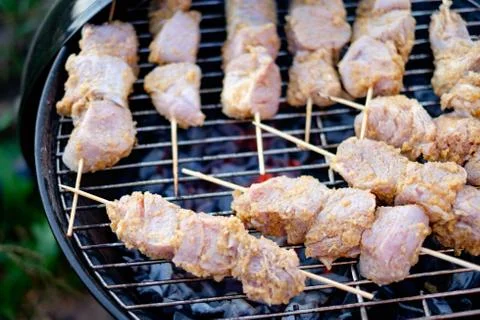 Barbeque on the grill Stock Photos