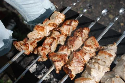 Barbeque meat on the charcoals Stock Photos