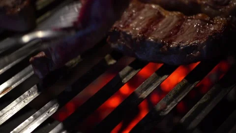 Barbeque Meat Preparing on Grill Stock Footage 221455250