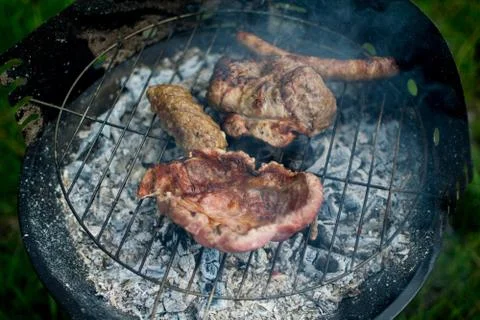 Barbeque in nature. Stock Photos