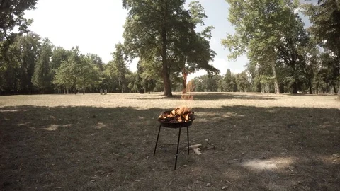 Barbeque in the park Stock Footage 94122349