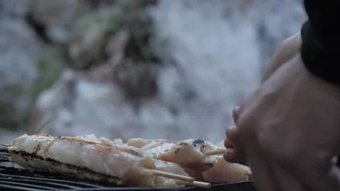 Barbeque in the woods_close up Stock Footage 154335863