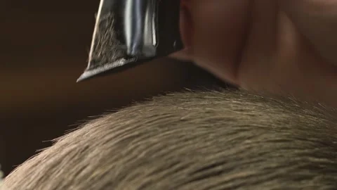 The barber cuts and evens the bearded man's beard in a barber shop Stock Footage 155690338