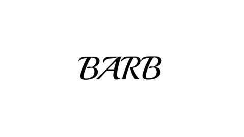 BARBER Stock Footage 344359621