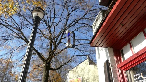 Barber pole trees and blue sky 库存影片 100206970