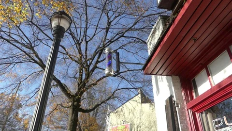 Barber pole trees and blue sky 库存影片 100207617