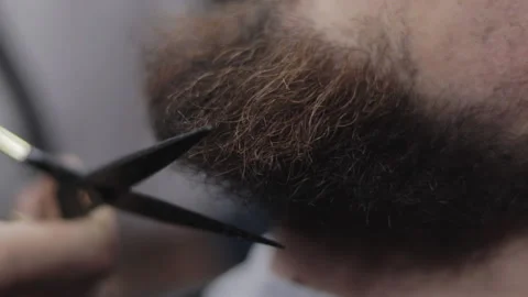 Barber trims beard with scissors Stock Footage 147453033