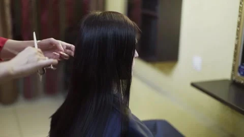 The barber at work Stock Footage 159881467