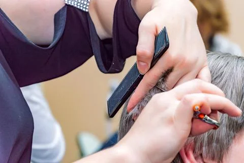Barber working with scissors, gray-haired woman. hairdresser cutting her hair Stock Photos