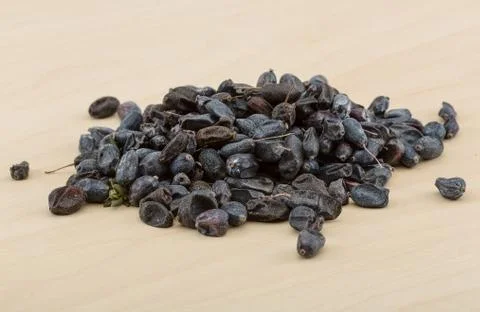 Barberries Stock Photos