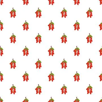 Barberry fruit repeating pattern on white background Stock Illustration