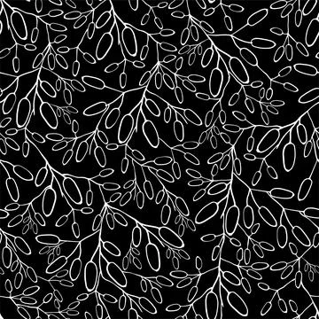 Barberry seamless pattern. Hand drawn berry background. 스톡 일러스트