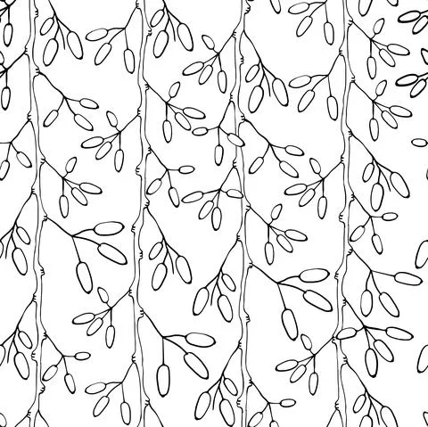 Barberry seamless pattern. Hand drawn berry background. Stock Illustration