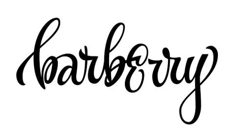 Barberry - vector hand drawn calligraphy style lettering word. Stock Illustration