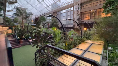 The Barbican Conservatory interior Video stock 292884971