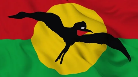 Barbuda and atingua A horizontal tri-colour Stock Footage 202208274