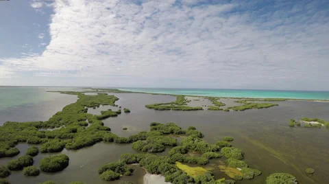 Barbuda Lake Video stock 50223440