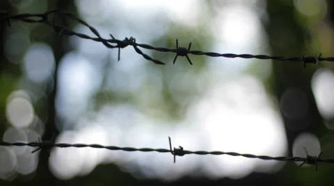 Barbwire backlight Видео 58298130