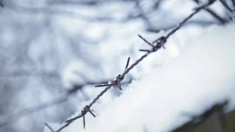 Barbwire covered with snow in winter Stock Footage 72993867