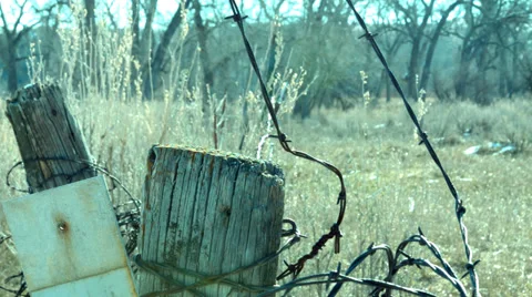 Barbwire fence in Field Stock Footage 38168991