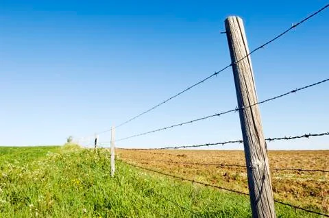 Barbwire fence Stock Photos