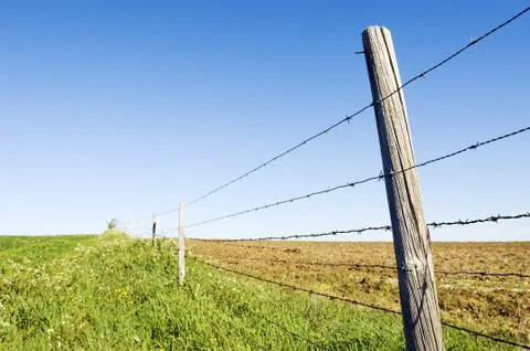 Barbwire fence Stock Photos