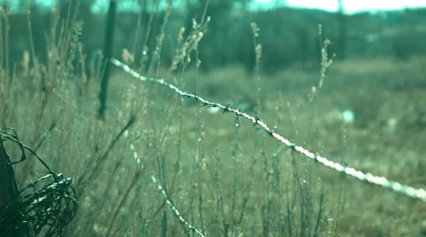 Barbwire in Field 動画素材 38169049