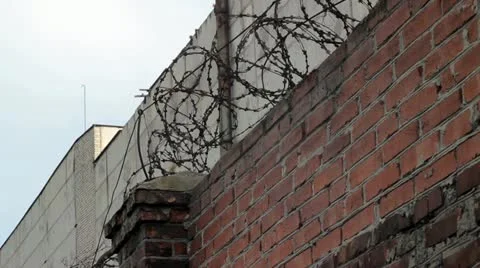 Barbwire Stock Footage 21995207