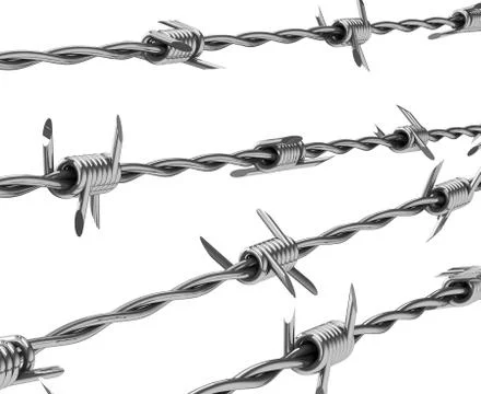 The barbwire Stock Illustration
