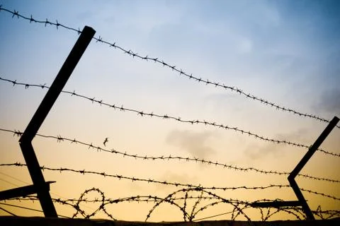 Barbwire Stock Photos