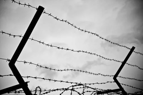 Barbwire Stock Photos