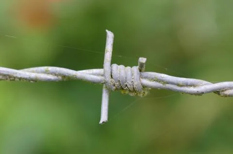 Barbwire Stock Photos