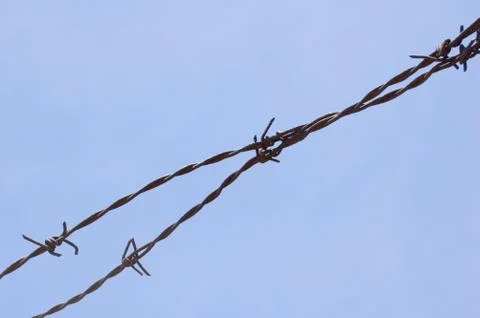 Barbwire Stock Photos