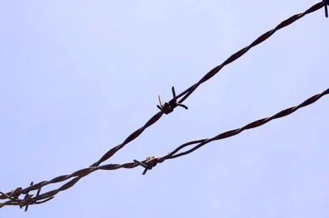 Barbwire Stock Photos