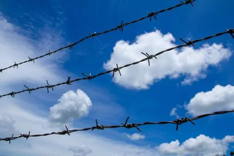 Barbwire Stock Photos