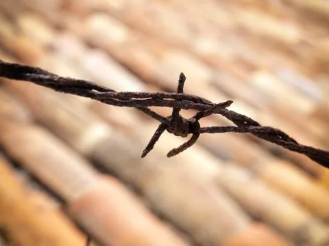 Barbwire Stock Photos